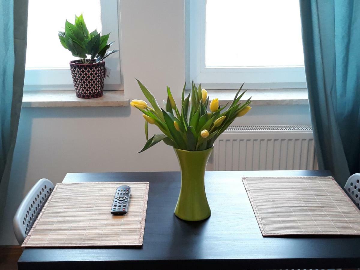 Apartment - I Przy Onkologii Gliwice